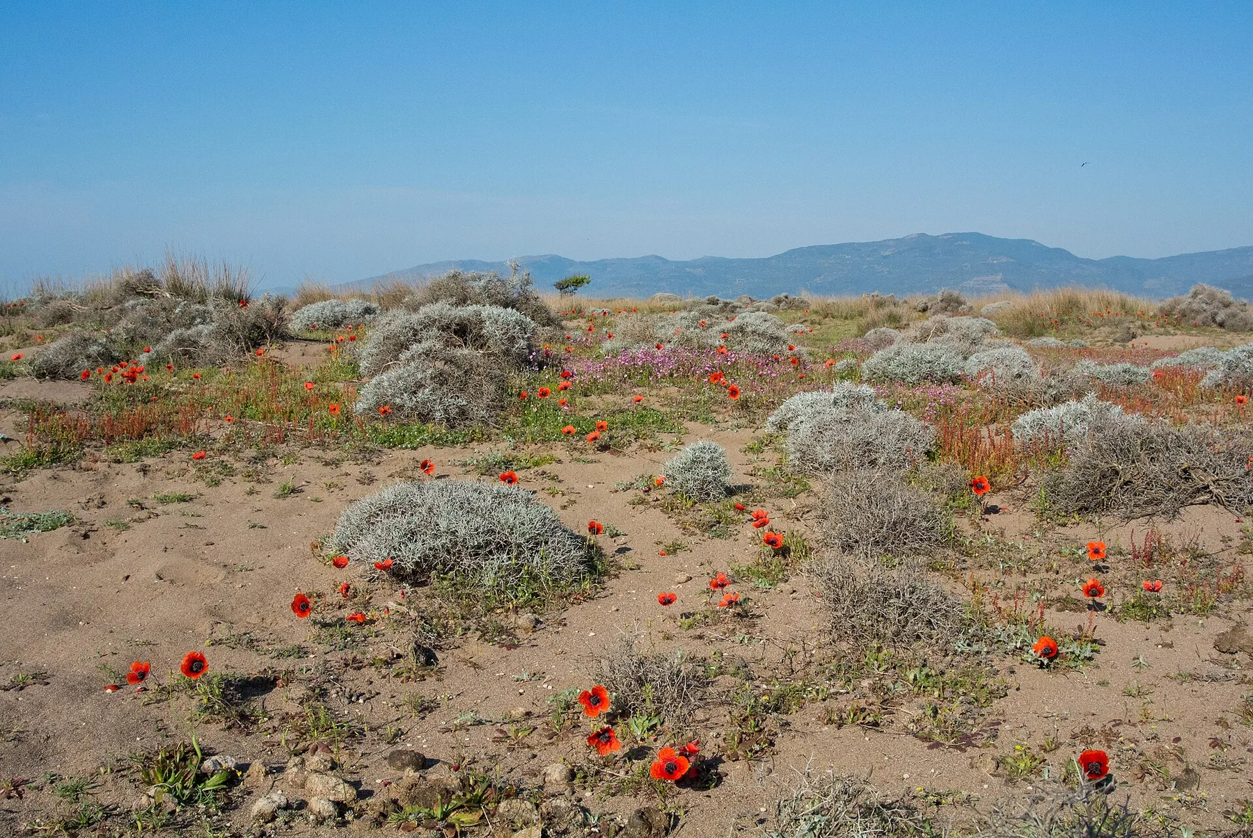 Travel view of Lesbos, Greece