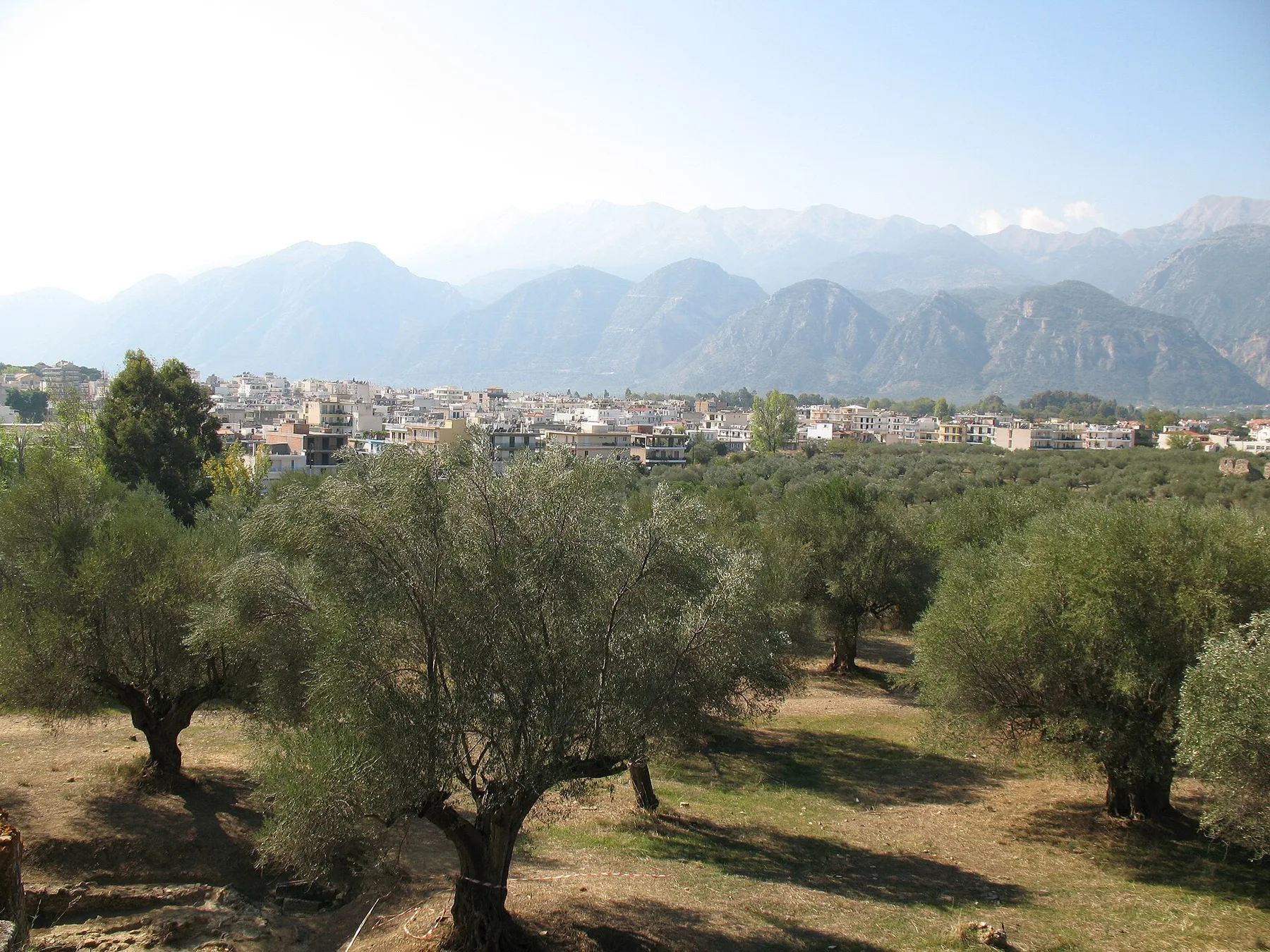 Travel view of Sparta, Greece